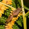 36009 – Photo : Pierre Duhem – France (24)