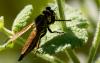 36077 – Photo : Pierre Duhem – France (24)