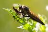 36078 – Photo : Pierre Duhem – France (24)