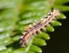 36051 – Photo : Pierre Duhem – France (24)