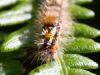36061 – Photo : Pierre Duhem – France (24)