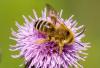 36079 – Photo : Pierre Duhem – France (24)