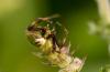 36309 – Photo : Pierre Duhem – France (24)