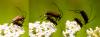 36445 – Photo : Pierre Duhem – France (24)
