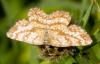 36509 – Photo : Pierre Duhem – France (24)