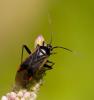 36480 – Photo : Pierre Duhem – France (24)