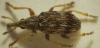 36052 – Photo : Pierre Frapa – France (26)