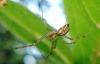 36098 – Photo : jean louis Besson – France (06)