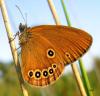 36429 – Photo : Guillaume D – France (24)