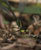 36072 – Photo : Yannick Jacob – France (76)