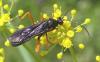 36068 – Photo : H. Dumas – France (13)