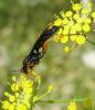 36069 – Photo : H. Dumas – France (13)