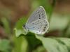 36631 – Photo : Olivier Bouteleux – France (24)