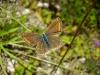 36171 – Photo : JCH – France (55)