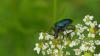 360400 – Photo : florent besson – France (25)