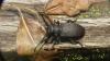 360535 – Photo : florent besson – France (25)
