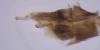 360154 – Photo : Cédric Mondy – France (94)