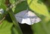 360821 – Photo : Pierre Duhem – France (95)