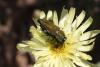 360708 – Photo : Pierre Duhem – France (83)
