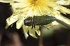 360709 – Photo : Pierre Duhem – France (83)