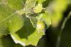 360863 – Photo : Pierre Duhem – France (83)