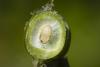 360864 – Photo : Pierre Duhem – France (83)