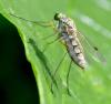 360298 – Photo : Jean-Michel GAREL – France (89)
