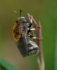 360300 – Photo : Guillaume Chorgnon – France (42)