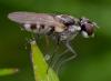 360332 – Photo : ANDRE LABETAA – France (11)