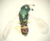 360114 – Photo : H. Dumas – France (13)