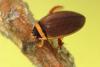 360246 – Photo : Mathurin CARNET – France (21)