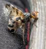 360398 – Photo : Yoann Bunz – France (05)
