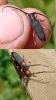 360861 – Photo : Emilien Gonzalez – France (38)