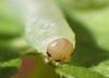 360387 – Photo : Catherine Reymonet-Smitten – France (19)