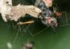 360981 – Photo : Gerard Tayeb – France (13)