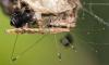 360957 – Photo : Gerard Tayeb – France (13)
