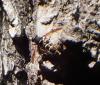 360270 – Photo : Anonyme – France (81)