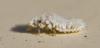 360369 – Photo : lguez – France (91)