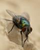 360749 – Photo : lguez – France (91)