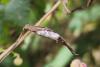 360925 – Photo : Nicolas Letellier – France (27)