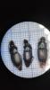 360419 – Photo : Charline Mercier – France (81)