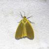 361118 – Photo : Paola Pac-De Rus – France (33)
