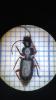 361090 – Photo : Charline Mercier – France (81)