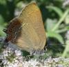 361428 – Photo : MOLINIER Cédric – France (66)