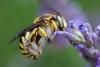 361348 – Photo : Thomas Reverchon – France (21)