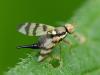 361073 – Photo : Cédric Mondy – France (95)