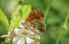 362788 – Photo : Frederic chalet – France (83)