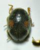 362829 – Photo : Tristan Maury-Caudal – France (37)