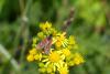 362243 – Photo : Cyril Griman – France (56)