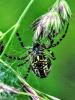 363769 – Photo : bernard evrad – France (00)